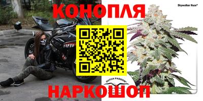 наркотики Камышлов