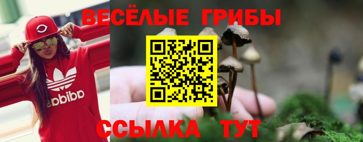 Псилоцибиновые грибы мицелий  Псилоцибиновые грибы ЛСД  Калач-на-Дону  Вход с VPN 